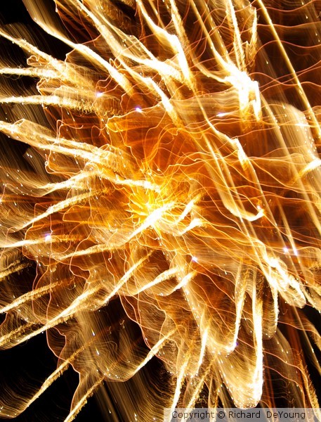 GOLDEN BURST
