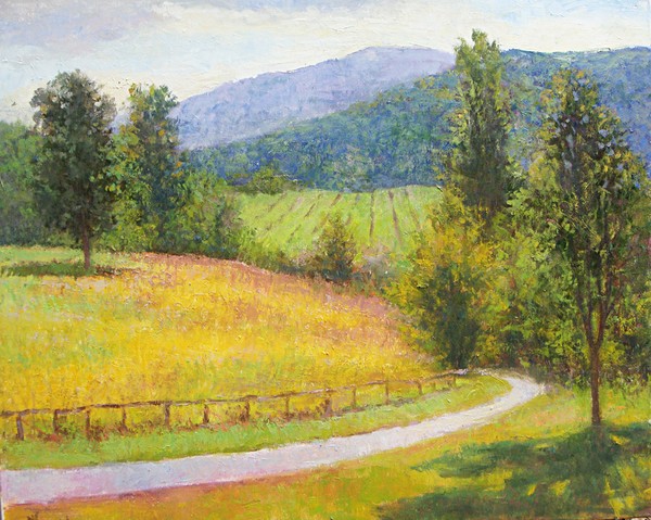 Afternoon light