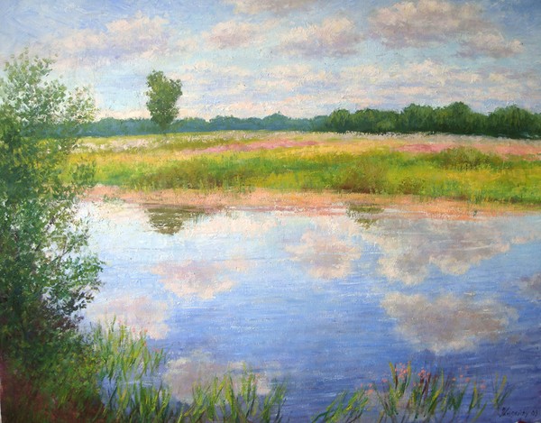 Creek on hot summer day