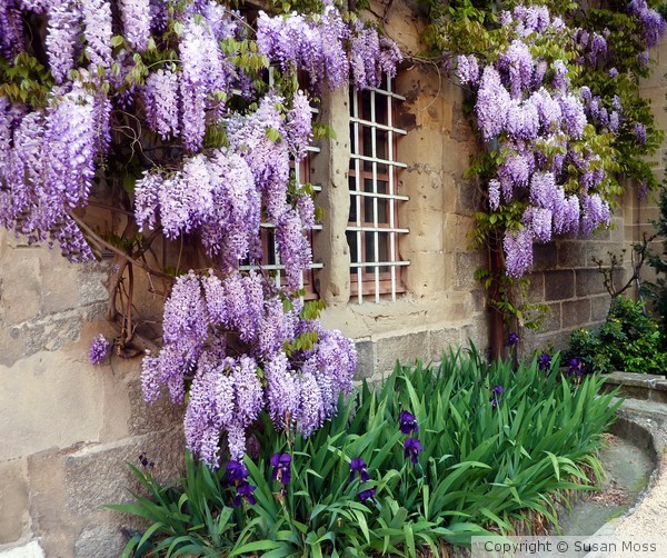 Spring is here