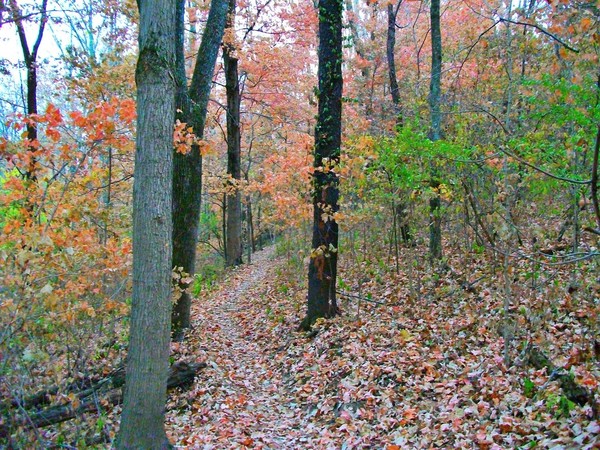 Hiking Way Up in the Hills