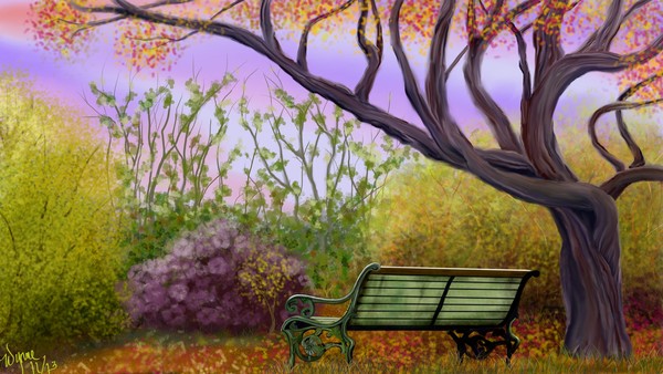 Lonely Park Bench