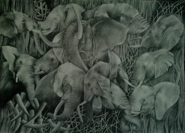 drawing 4