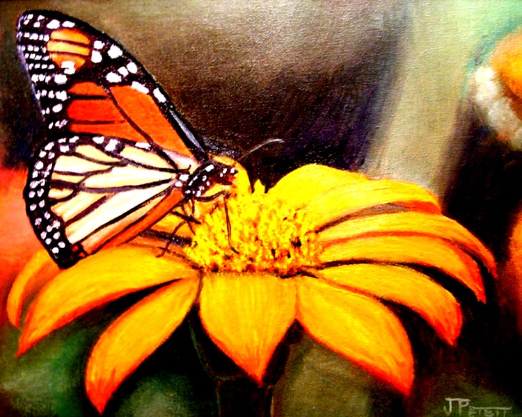 Monarch on Yellow Zinnia