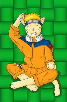 naruto kitty