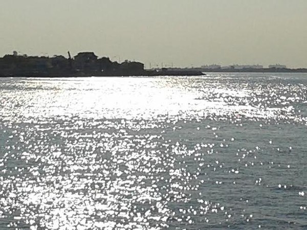 Sun Splash