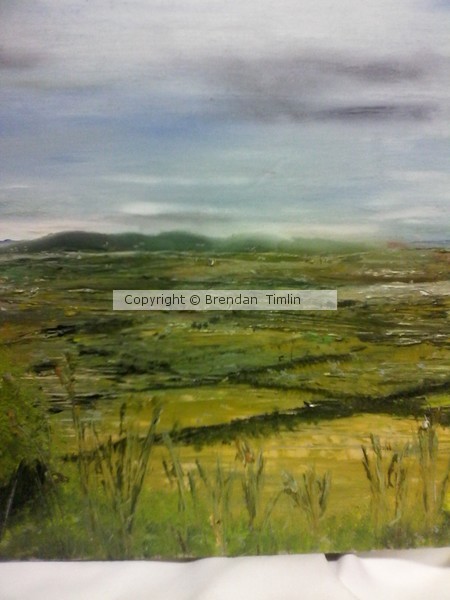 The landscape 