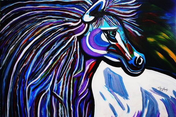MR MIDNIGHT BLUE    HORSE