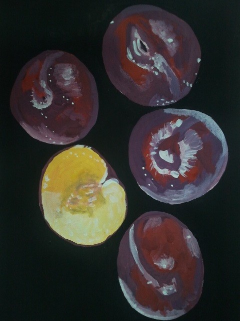 plums 