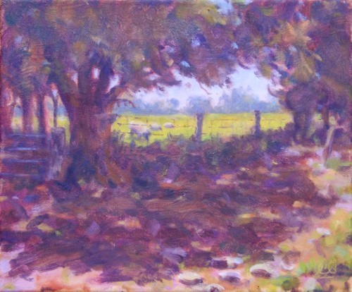 summer shade