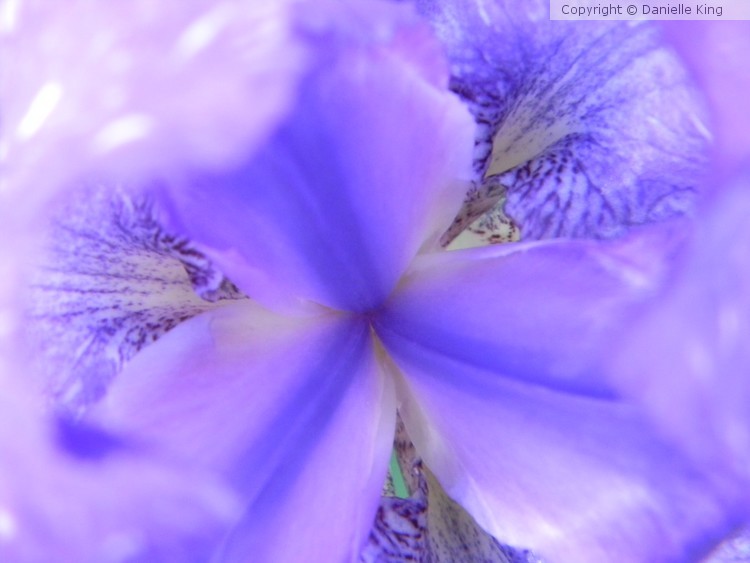 DSCN0498