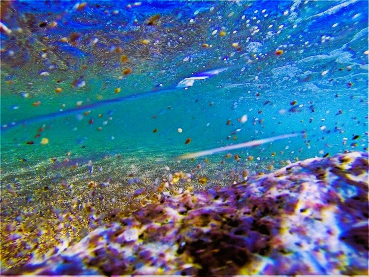 Undersea Blues