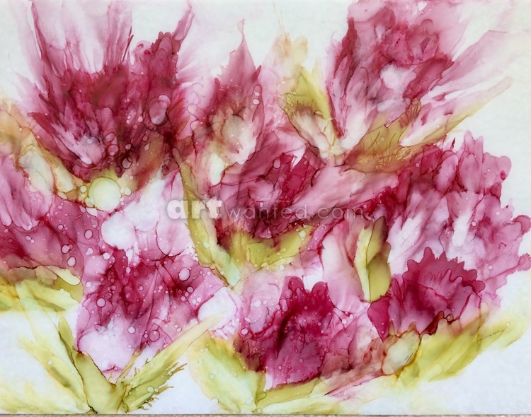 Hot Pink Carnation