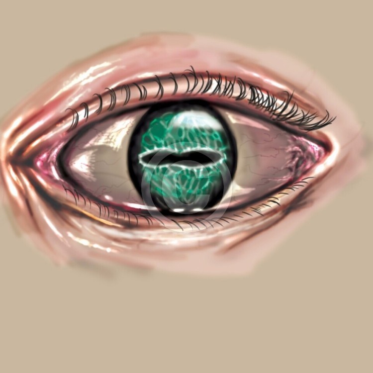 Eye