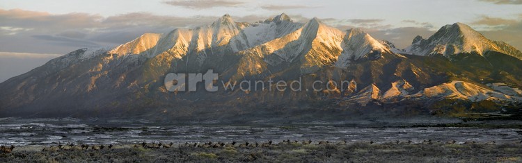 Running of the Elk