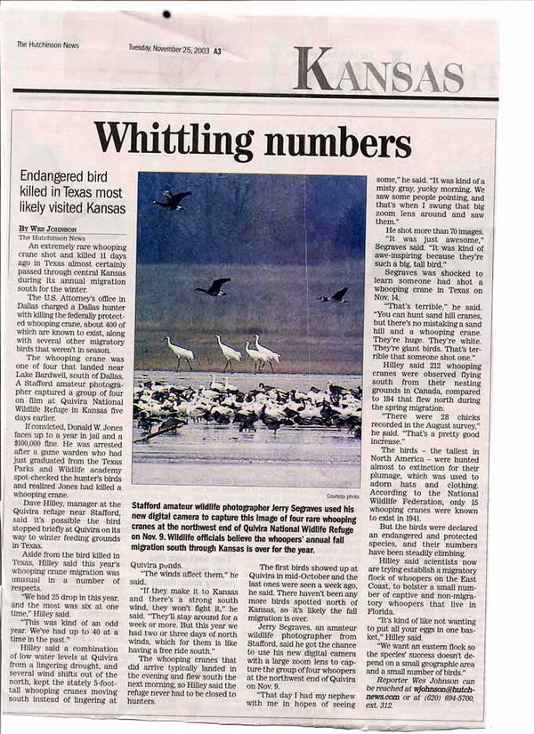 Hutchinson News article: Whooping Cranes