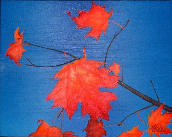 Maple Leaves