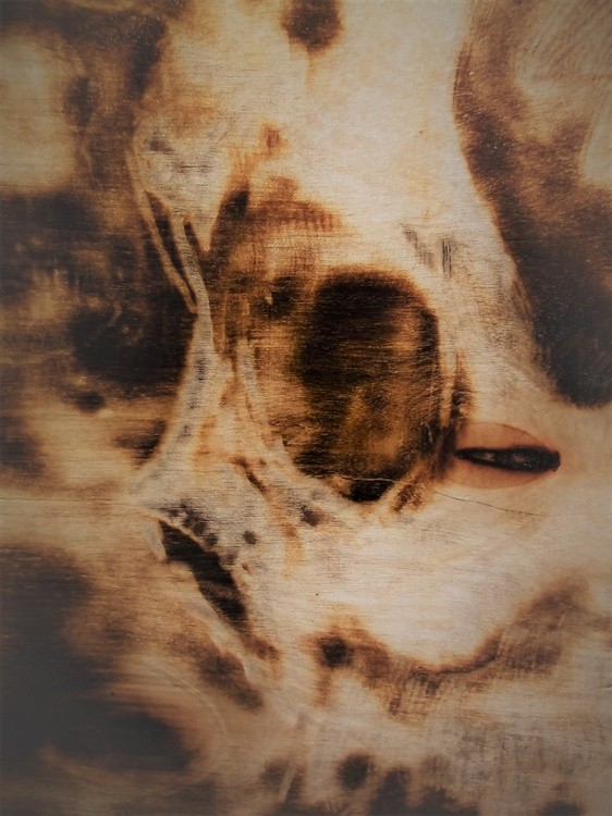 Srorched Skulls  (5)