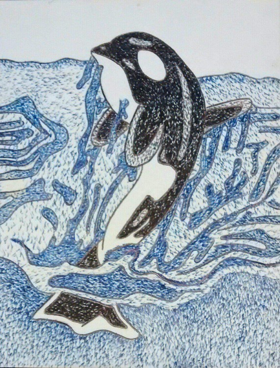 Whale Stippling sketch