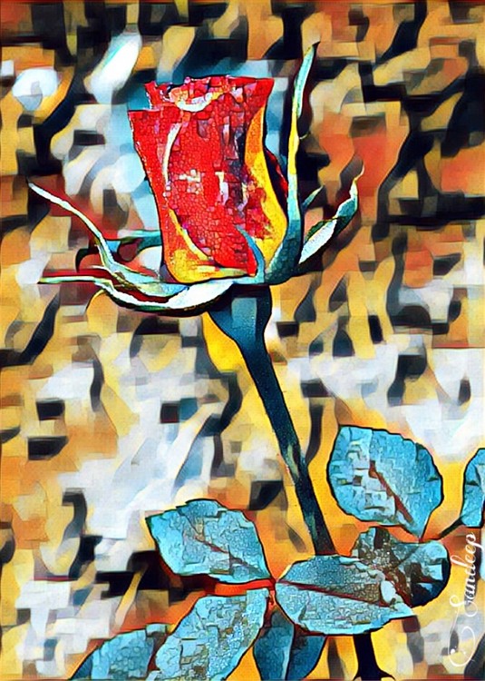 The Rose Bud