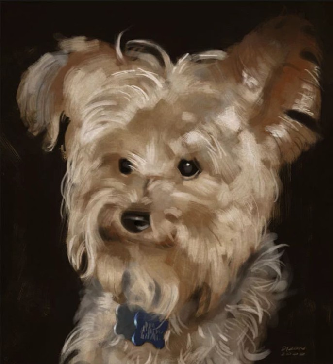doggo