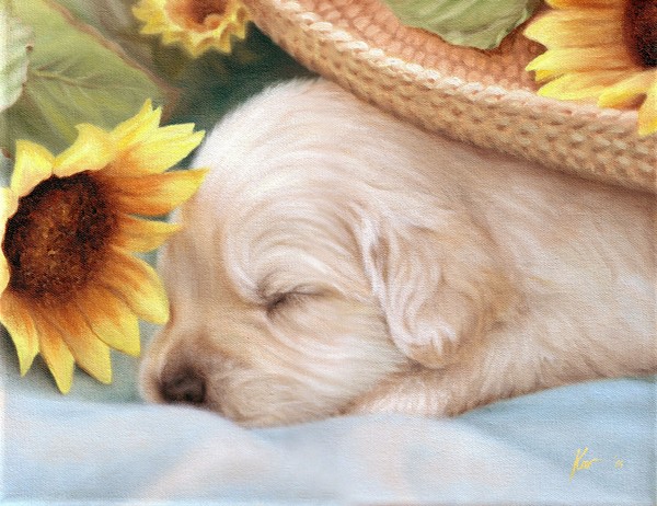 Puppy and sunflowers