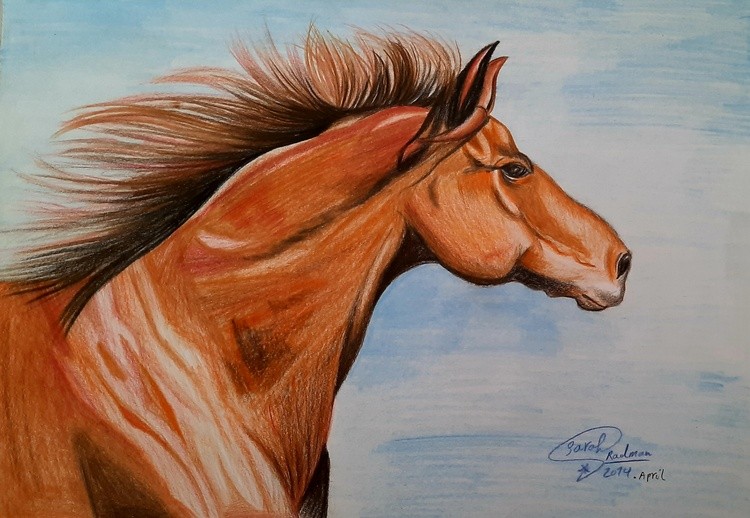 Horse