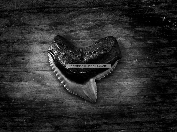 P7104648-v2