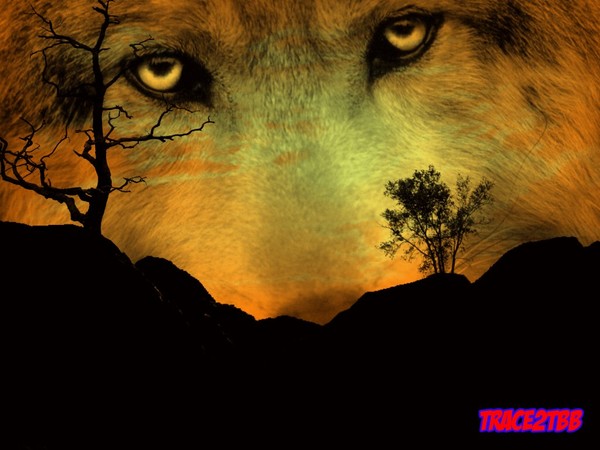 the howling hills