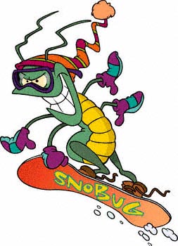 insects bugs snowboarding winter sports