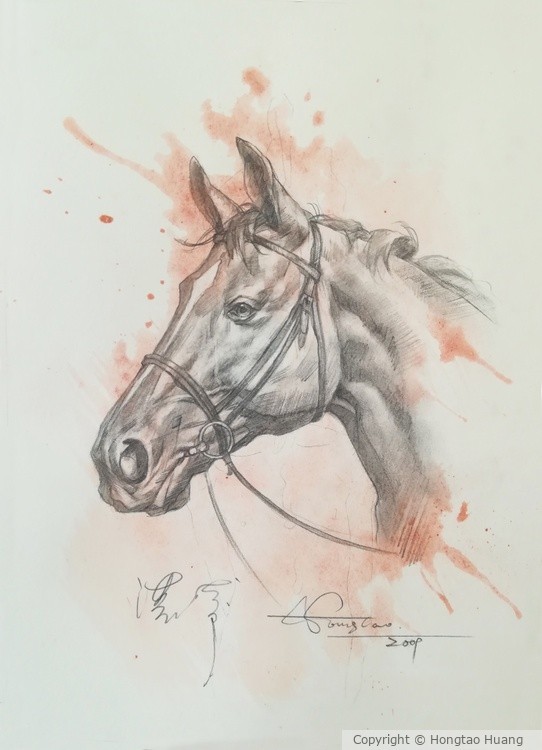 Drawing-Horse