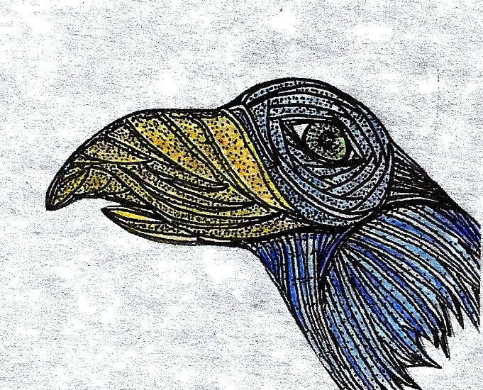 raven