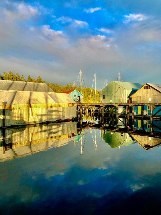 Dock life
