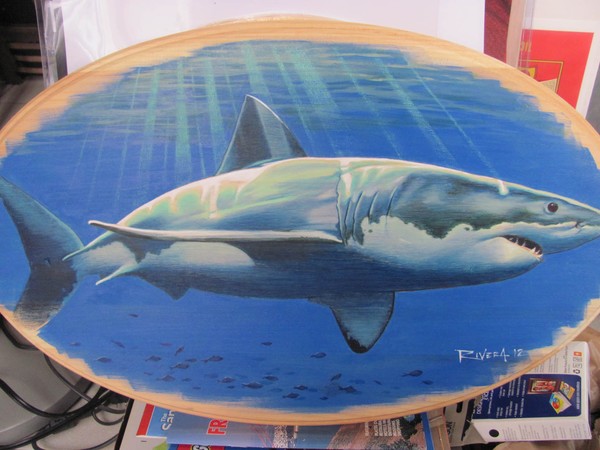 Shark