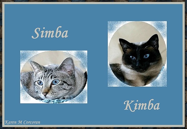 Sim and Kim