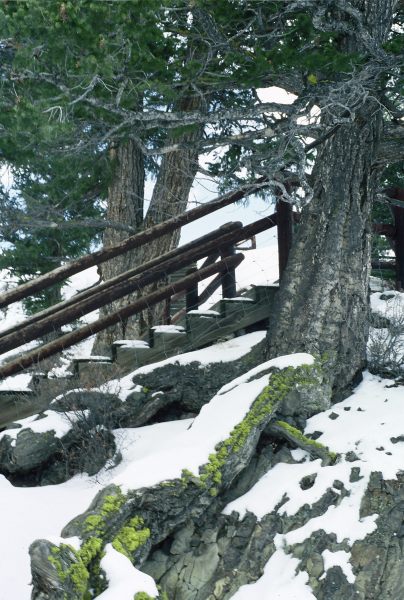 Steps