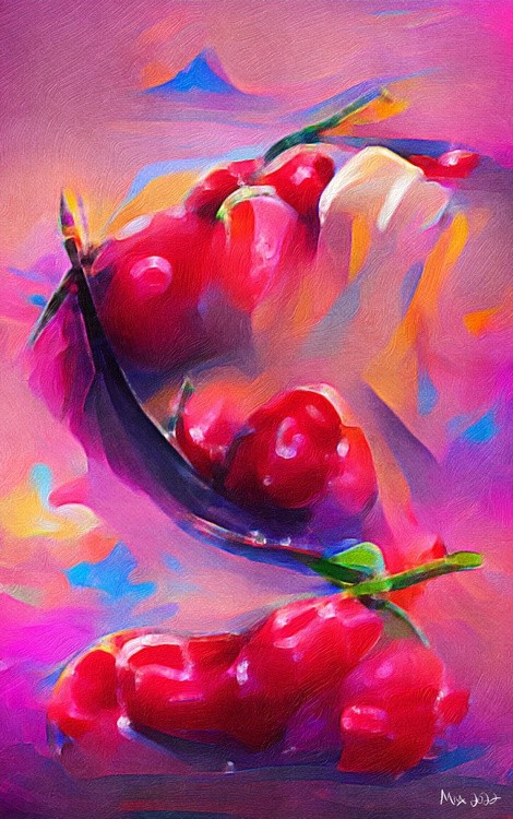 Cherries