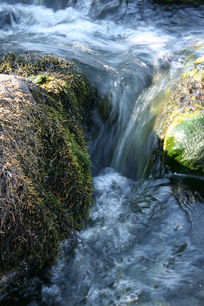 Swift Stream