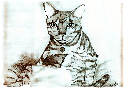 Leonardo