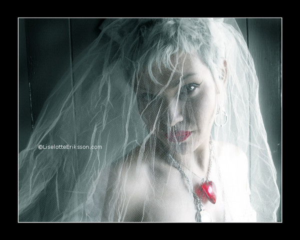 Bride of Dingo