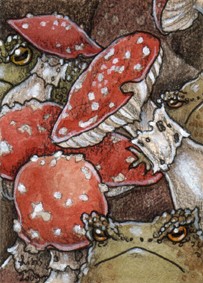 Toads & Toadstools