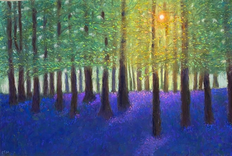 Bluebell Forest