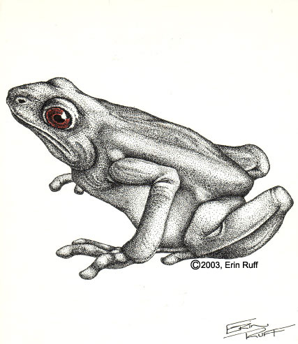 ink frog