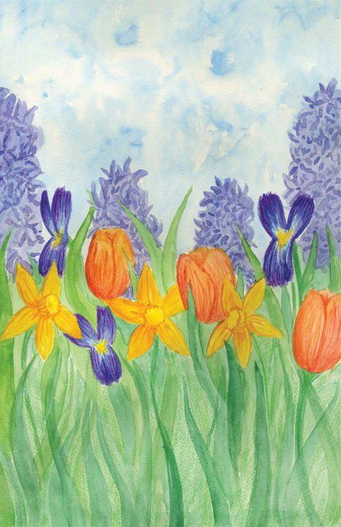 Calong SpringFlowers Stock