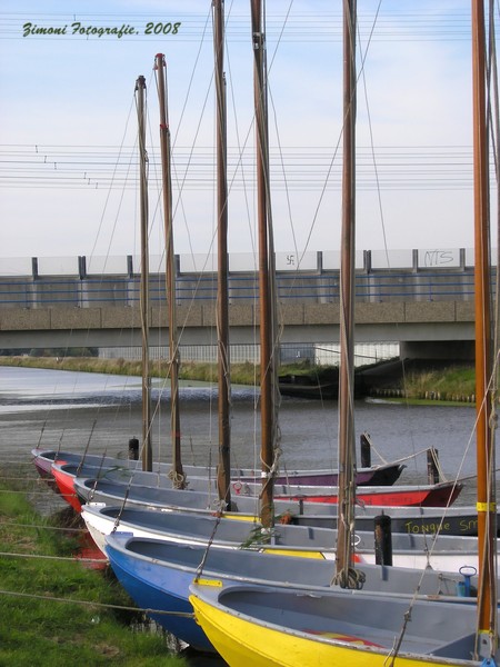 boats