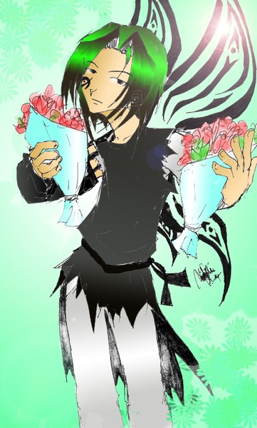 Mr. Fairy