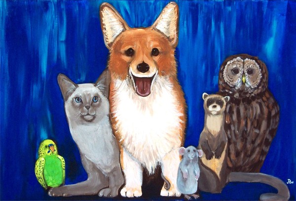 Animal Friends