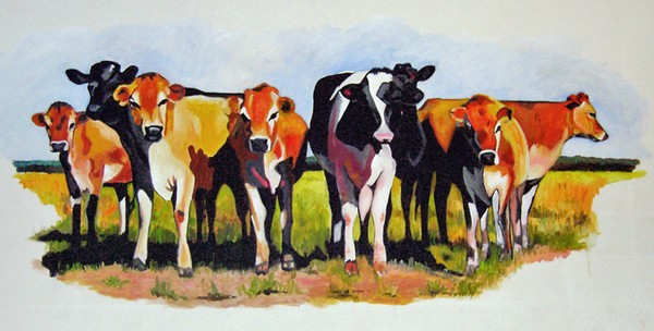 D386 cows