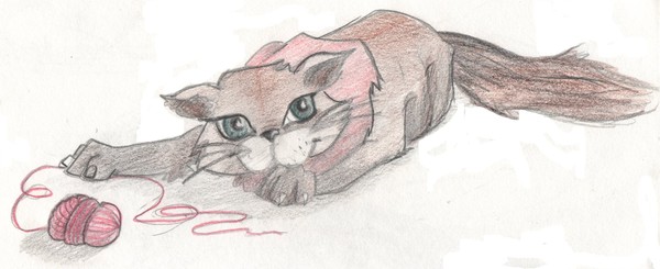 Wolf