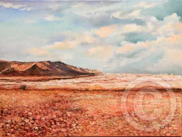 Salt Fields